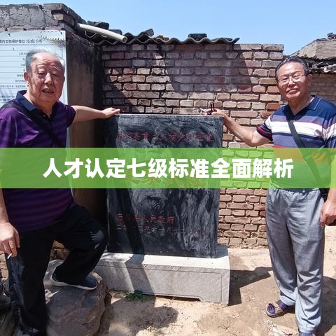 人才認定七級標準全面解析