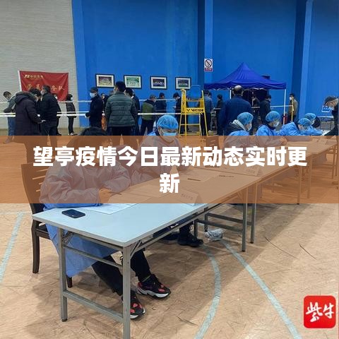 望亭疫情今日最新動態(tài)實時更新