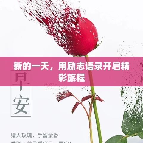 新的一天，用勵(lì)志語(yǔ)錄開啟精彩旅程