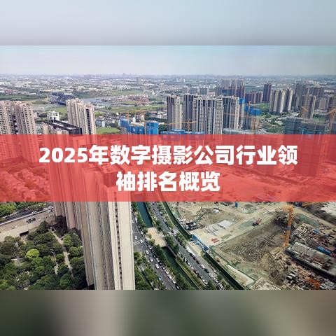 2025年數(shù)字?jǐn)z影公司行業(yè)領(lǐng)袖排名概覽