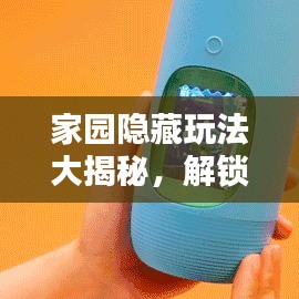 家園隱藏玩法大揭秘，解鎖全新樂趣與驚喜攻略