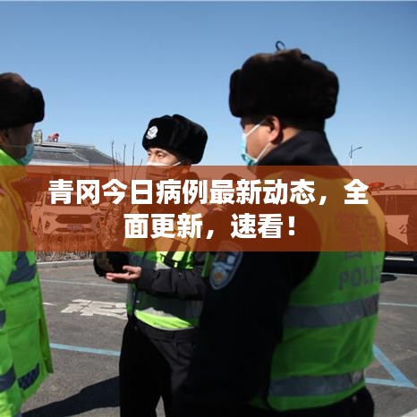 青岡今日病例最新動(dòng)態(tài)，全面更新，速看！