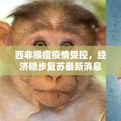 西非猴痘疫情受控，經(jīng)濟(jì)穩(wěn)步復(fù)蘇最新消息