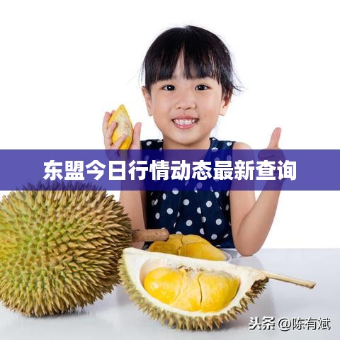 東盟今日行情動(dòng)態(tài)最新查詢(xún)