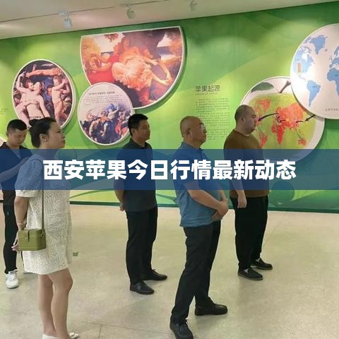 西安蘋果今日行情最新動態(tài)