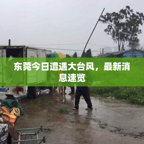 東莞今日遭遇大臺(tái)風(fēng)，最新消息速覽