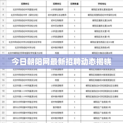 今日朝陽網(wǎng)最新招聘動(dòng)態(tài)揭曉