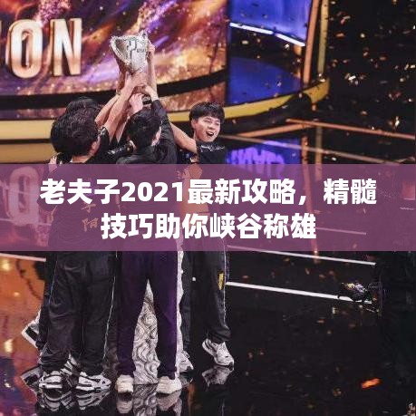 老夫子2021最新攻略，精髓技巧助你峽谷稱雄