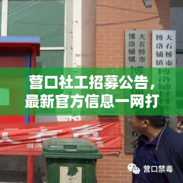 營口社工招募公告，最新官方信息一網(wǎng)打盡