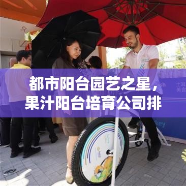 都市陽臺(tái)園藝之星，果汁陽臺(tái)培育公司排名揭曉