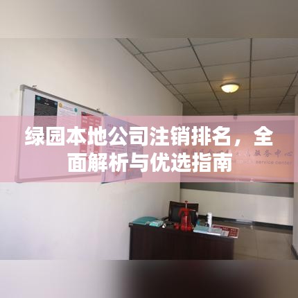 綠園本地公司注銷排名，全面解析與優(yōu)選指南