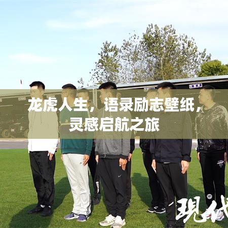 龍虎人生，語(yǔ)錄勵(lì)志壁紙，靈感啟航之旅