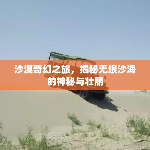 沙漠奇幻之旅，揭秘?zé)o垠沙海的神秘與壯麗