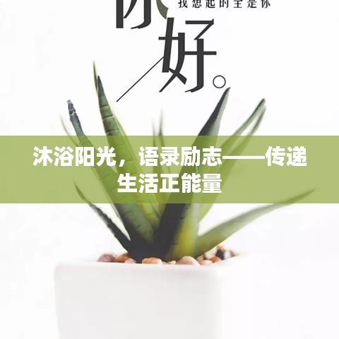 沐浴陽(yáng)光，語(yǔ)錄勵(lì)志——傳遞生活正能量