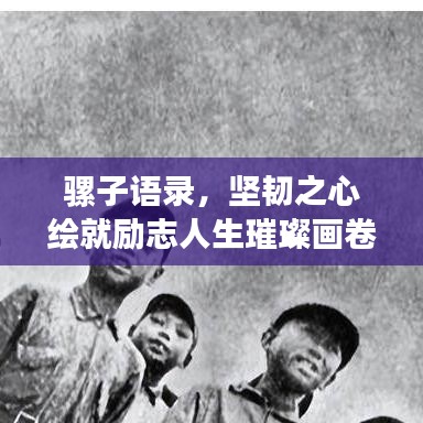 騾子語(yǔ)錄，堅(jiān)韌之心繪就勵(lì)志人生璀璨畫(huà)卷