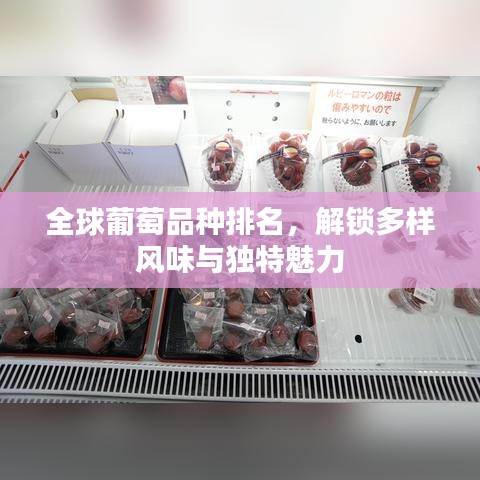 全球葡萄品種排名，解鎖多樣風味與獨特魅力