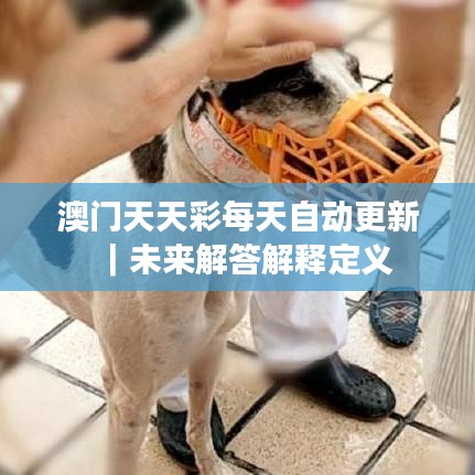 澳門天天彩每天自動更新｜未來解答解釋定義