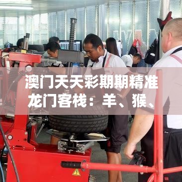 澳門天天彩期期精準(zhǔn)龍門客棧：羊、猴、狗、馬，免費(fèi)公開(kāi)