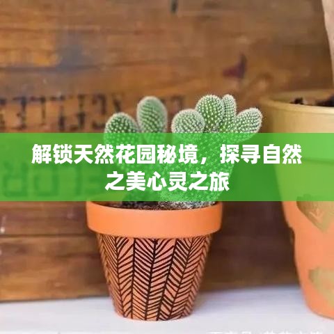 解鎖天然花園秘境，探尋自然之美心靈之旅