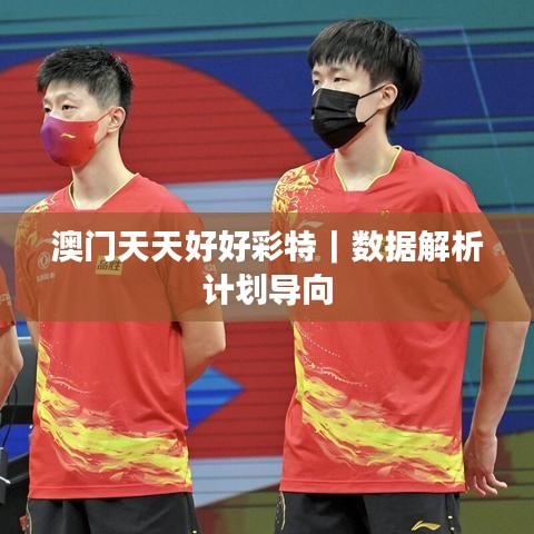 澳門天天好好彩特｜數(shù)據(jù)解析計劃導(dǎo)向