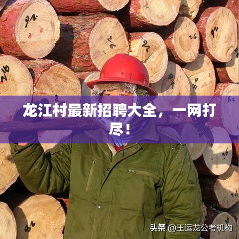 龍江村最新招聘大全，一網打盡！