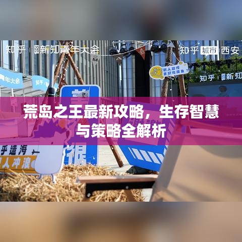 荒島之王最新攻略，生存智慧與策略全解析