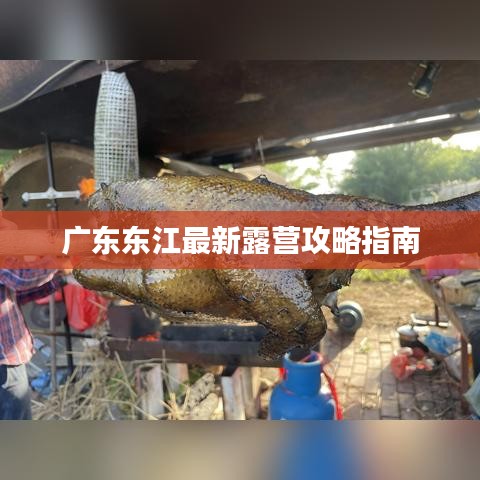 廣東東江最新露營攻略指南