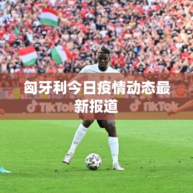 匈牙利今日疫情動態(tài)最新報道