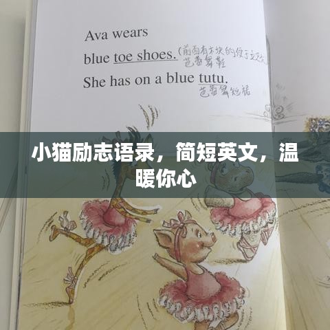 小貓勵(lì)志語(yǔ)錄，簡(jiǎn)短英文，溫暖你心