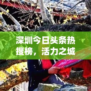 深圳今日頭條熱搜榜，活力之城多彩脈動(dòng)全解析