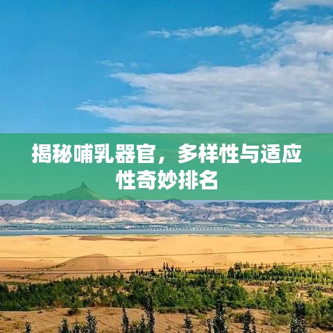 揭秘哺乳器官，多樣性與適應(yīng)性奇妙排名
