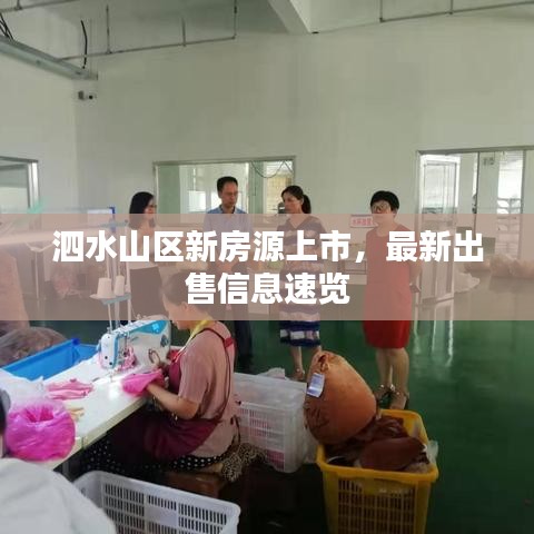 泗水山區(qū)新房源上市，最新出售信息速覽