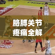 胳膊關(guān)節(jié)疼痛全解析，百度搜全面解決方案