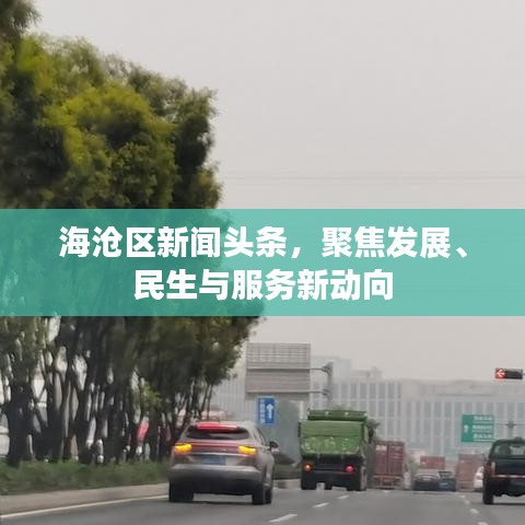 海滄區(qū)新聞頭條，聚焦發(fā)展、民生與服務新動向