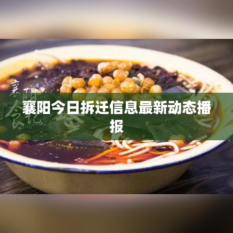 襄陽今日拆遷信息最新動(dòng)態(tài)播報(bào)