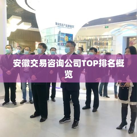 安徽交易咨詢(xún)公司TOP排名概覽