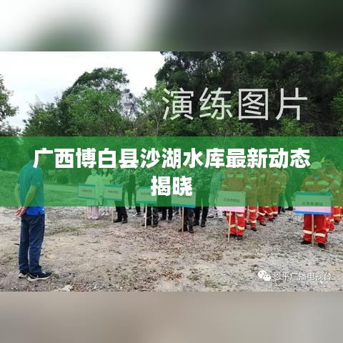 廣西博白縣沙湖水庫最新動(dòng)態(tài)揭曉