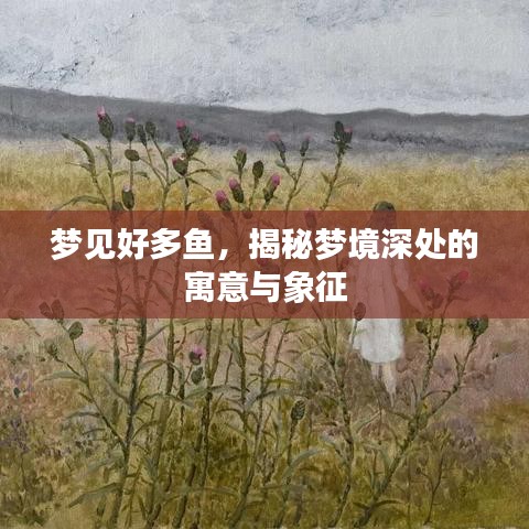 夢見好多魚，揭秘夢境深處的寓意與象征