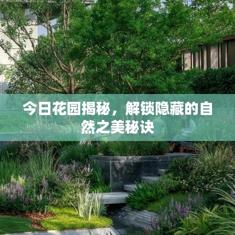 一絲不茍 第3頁