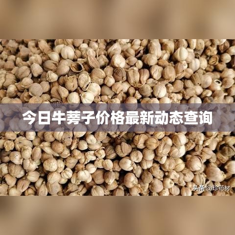 還樸反古 第4頁(yè)