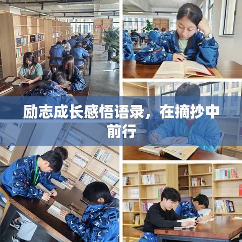 勵(lì)志成長(zhǎng)感悟語錄，在摘抄中前行