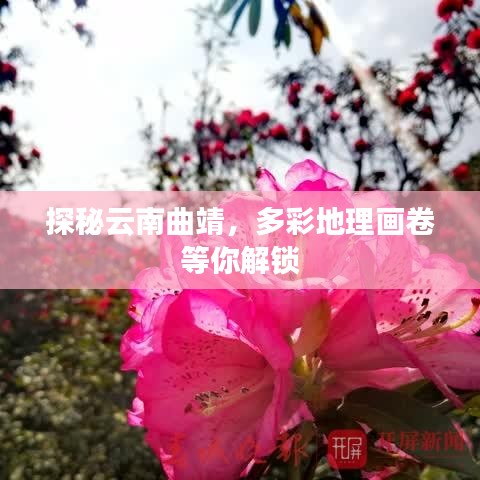 探秘云南曲靖，多彩地理畫卷等你解鎖