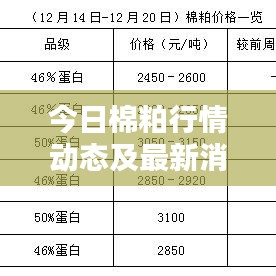 今日棉粕行情動態(tài)及最新消息