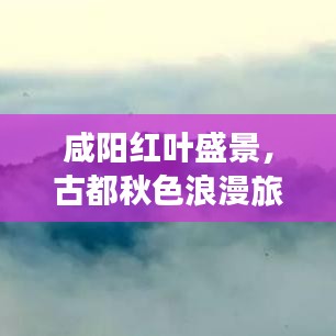 咸陽(yáng)紅葉盛景，古都秋色浪漫旅游攻略