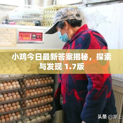 小雞今日最新答案揭秘，探索與發(fā)現(xiàn) 1.7版