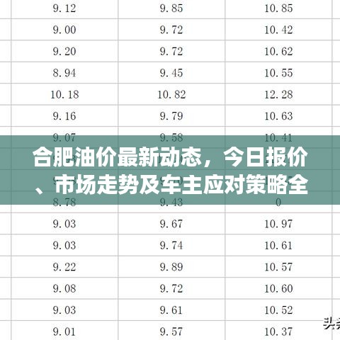 合肥油價最新動態(tài)，今日報價、市場走勢及車主應對策略全解析