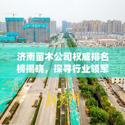 濟南苗木公司權(quán)威排名榜揭曉，探尋行業(yè)領(lǐng)軍者的成長足跡！