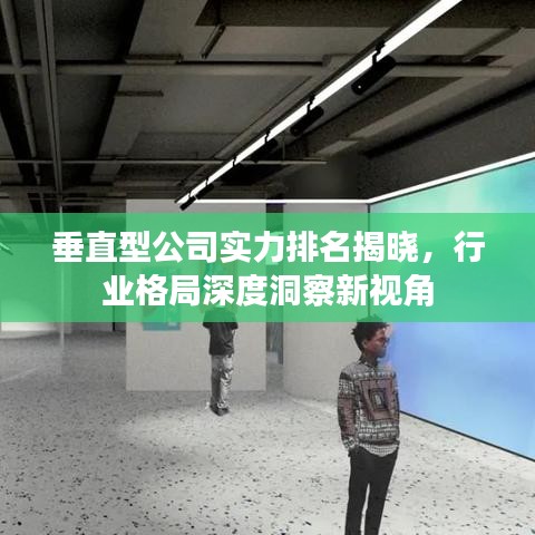 垂直型公司實力排名揭曉，行業(yè)格局深度洞察新視角