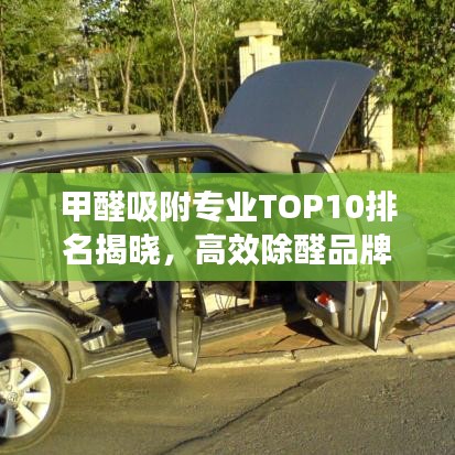 甲醛吸附專業(yè)TOP10排名揭曉，高效除醛品牌大比拼！