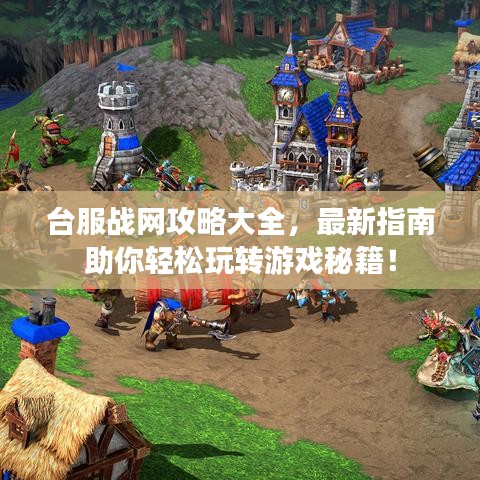 臺服戰(zhàn)網(wǎng)攻略大全，最新指南助你輕松玩轉游戲秘籍！